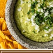 Avocado Salsa in bowl with choppe donion and cilantro on top