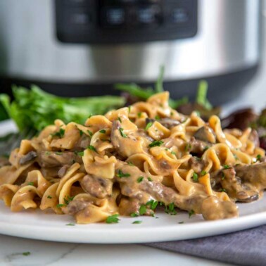 Beef Stroganoff in a Crock Pot Express