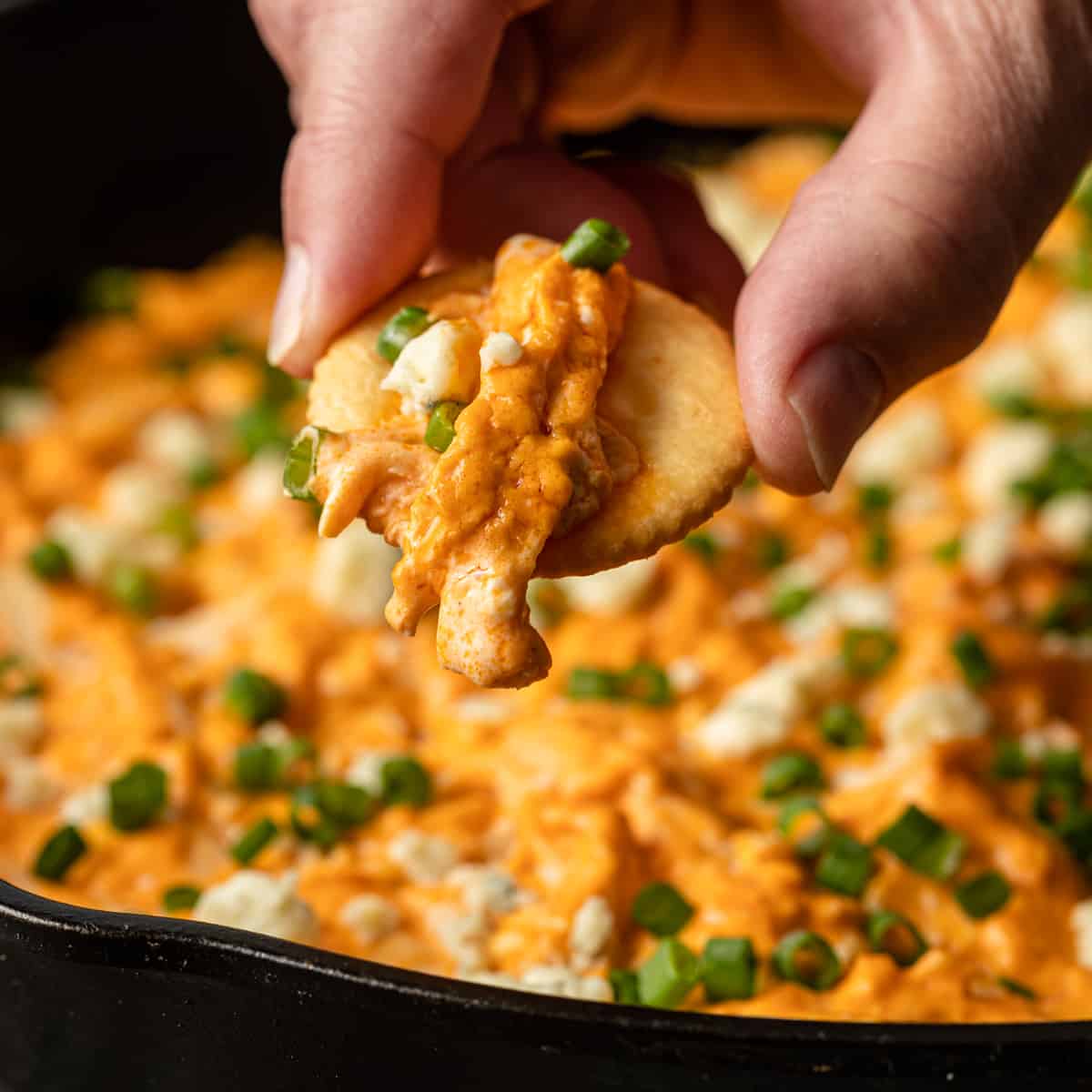 hand holding cracker with Buffalo Chicken Dip