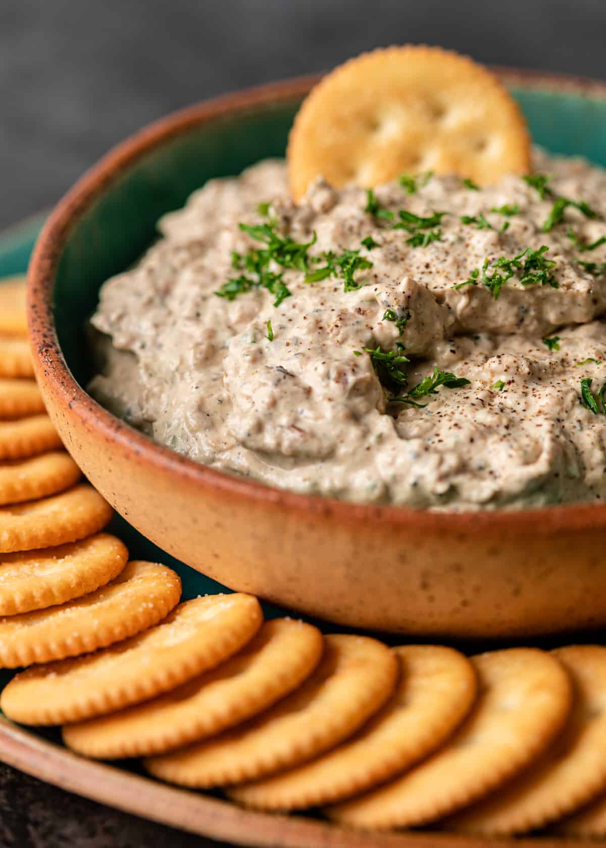 side view of a bowl with Caramelized Onion Dip