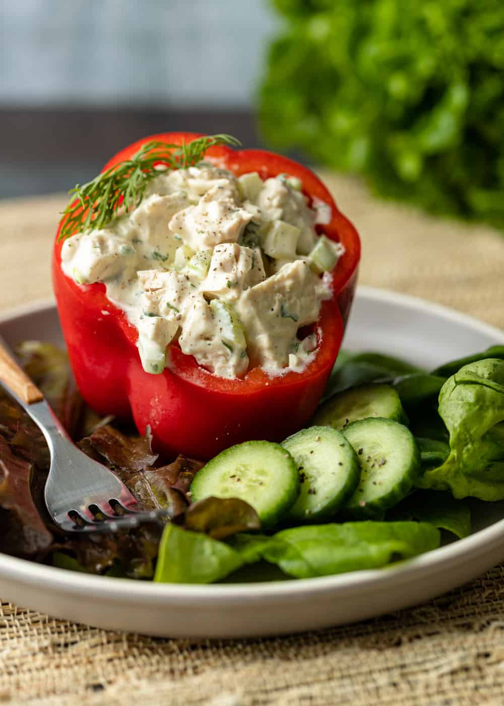 keto chicken salad in bell pepper