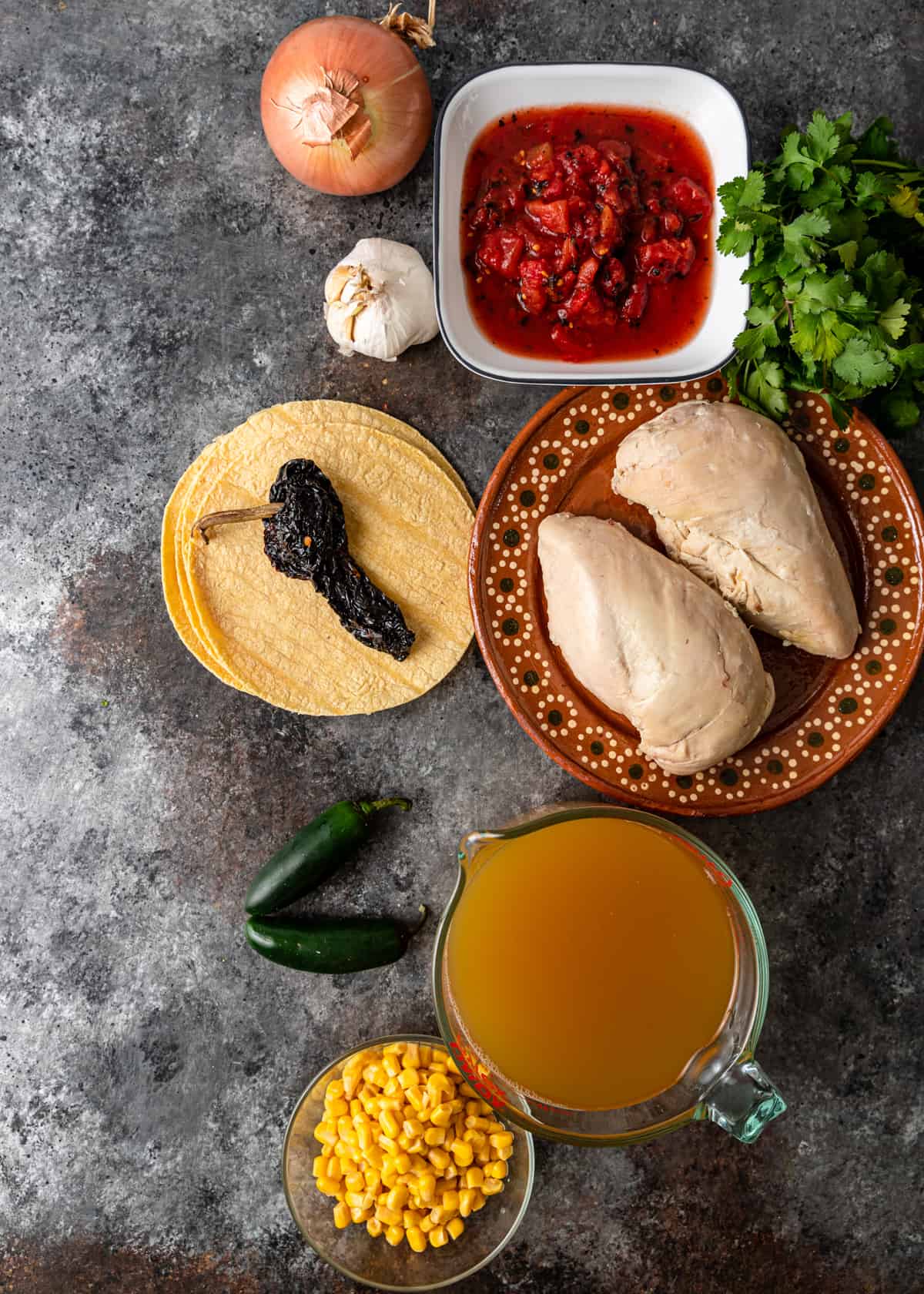 ingredients to make Chicken Tortilla Soup