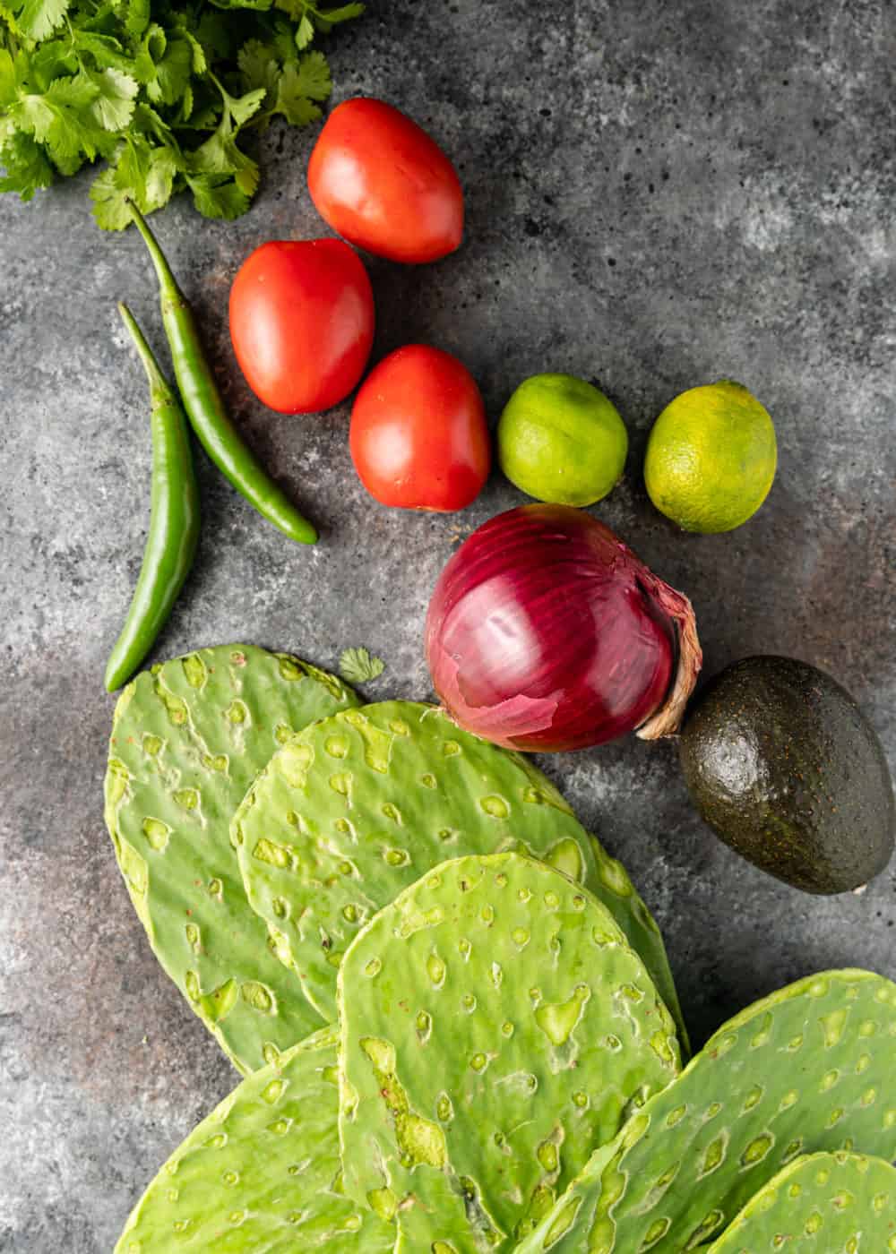 overhead image;: fresh tomatoes, limes, green chili peppers, avocado, and cactus pads to make a nopales recipe