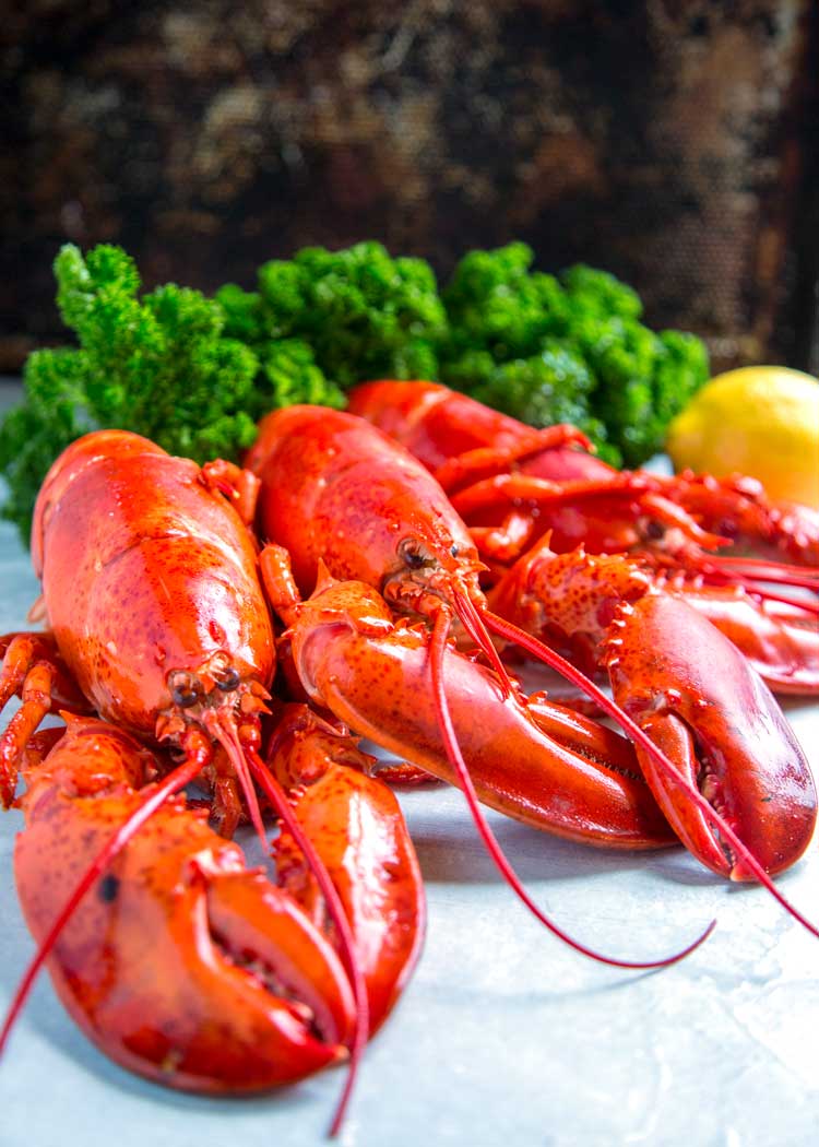 steamed whole lobster for soup