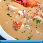 titled image: creamy lobster soup