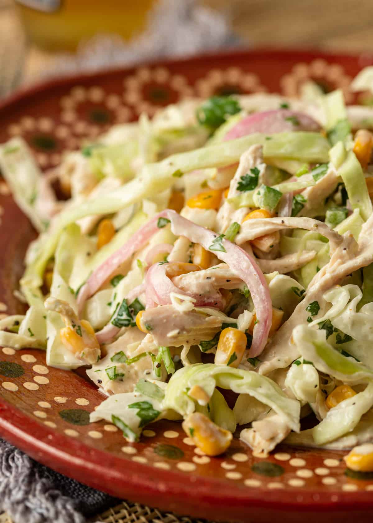 extreme closeup: a plate of Mexican coleslaw with chicken