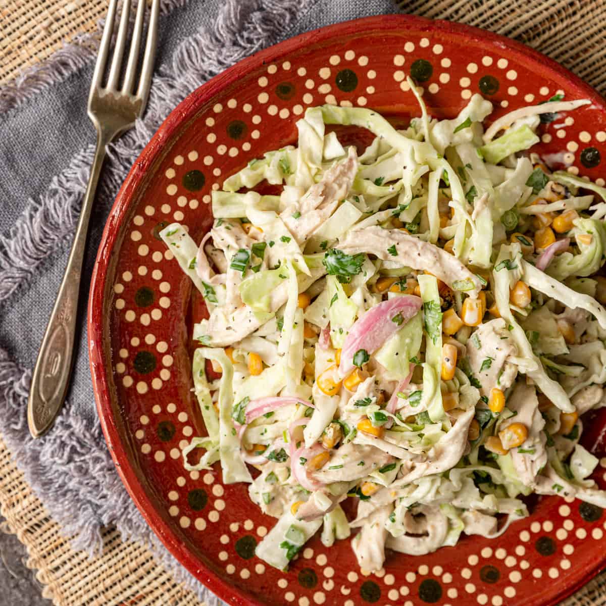 overhead: a red ceramic plate with Mexican coleslaw with chicken and a fork