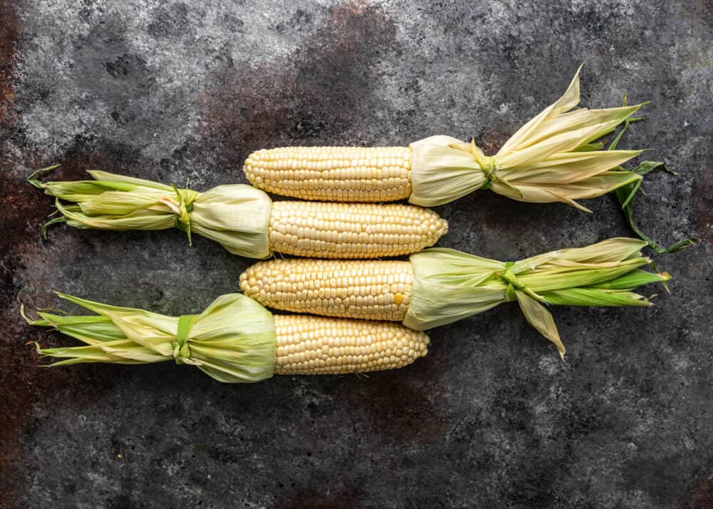 overhead image: 4 ears of corn on the cob side by side with husks pulled back for street corn recipe