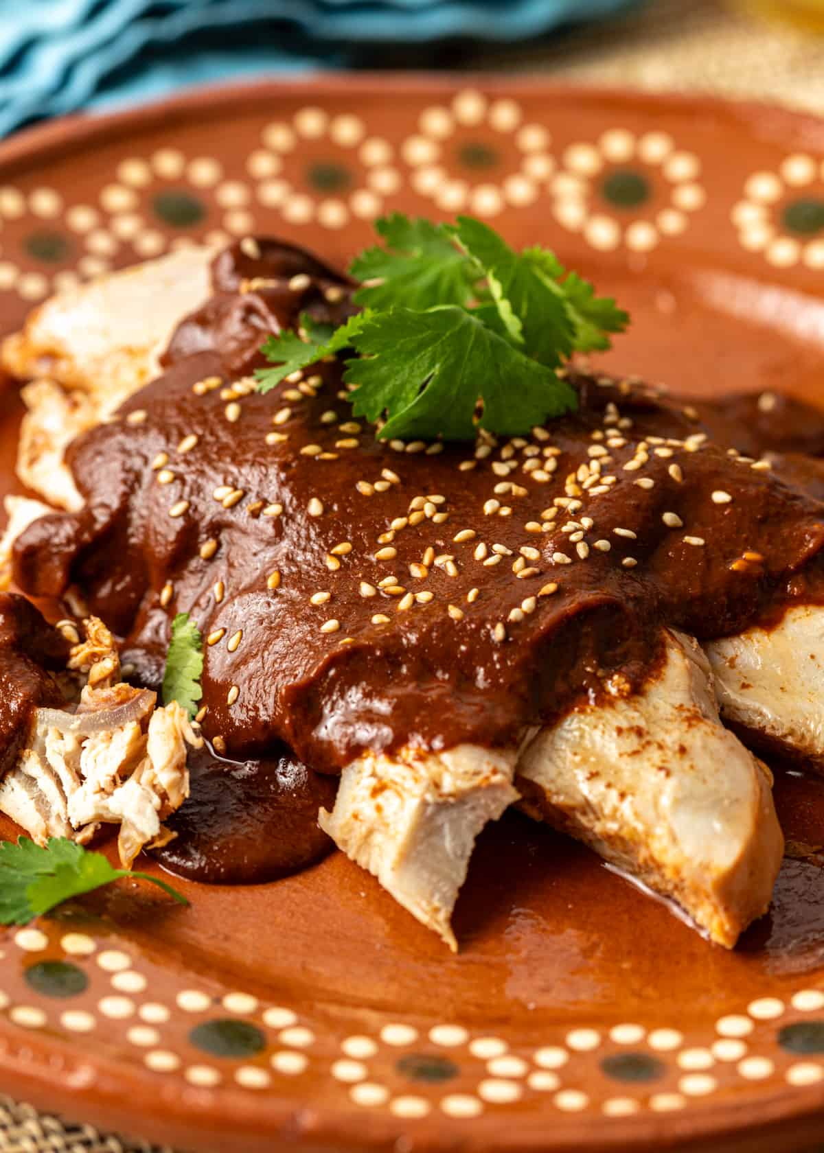closeup: turkey mole with sesame seeds and fresh parsley on top