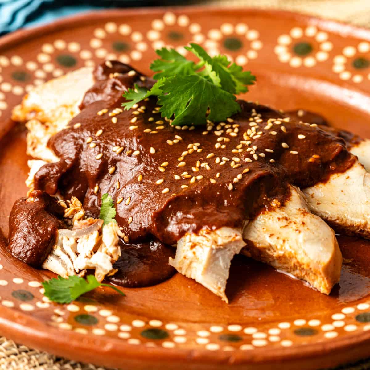 side view: mole poblano over turkey on a ceramic plate