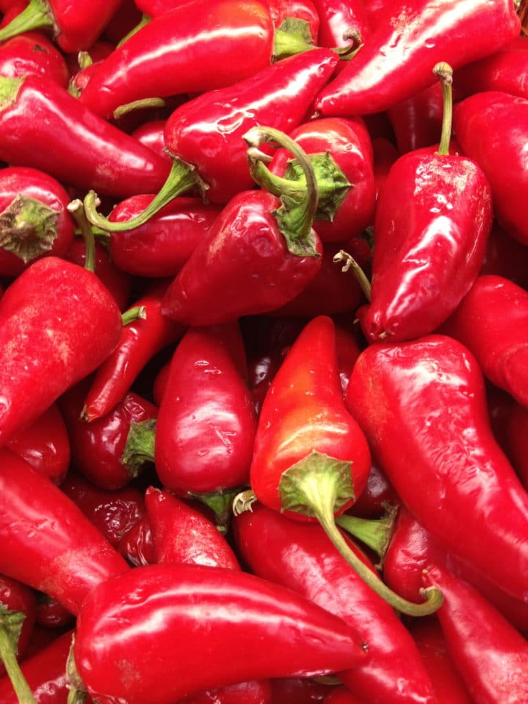 red jalapenos