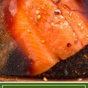 salmon filet in brine
